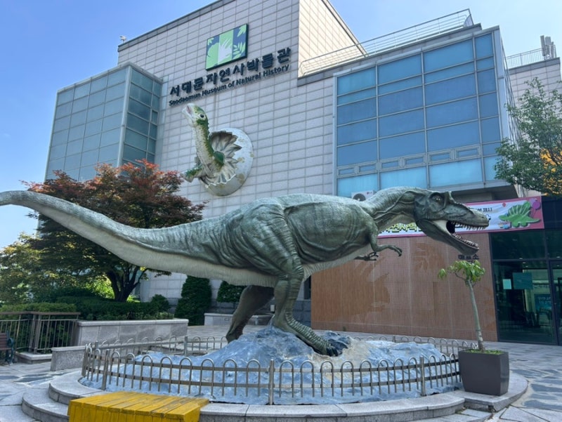 두돌아기랑 서대문 자연사박물관, 할인정보, 관람동선, 근처가볼만한곳,맛집