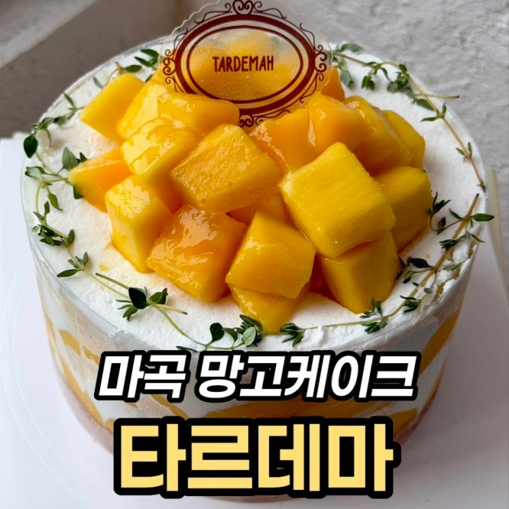  마곡케이크 타르데마 베이커리, 강서구 성심당 망고시루 생각나는 망고케이크 1호 후기