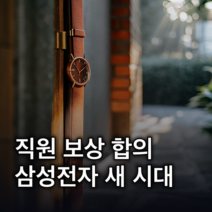  핫한 삼성전자 주식: 5년 이상 장기 투자, 직원 보상 합의와 우선주 분석