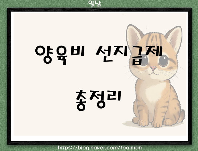  양육비 선지급제 총정리