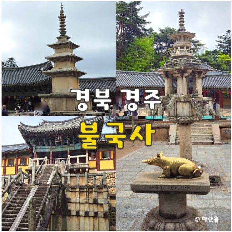  경주 불국사 당일치기 여행 코스 추천 경북 6월 가볼만한 곳 다보탑 석가탑