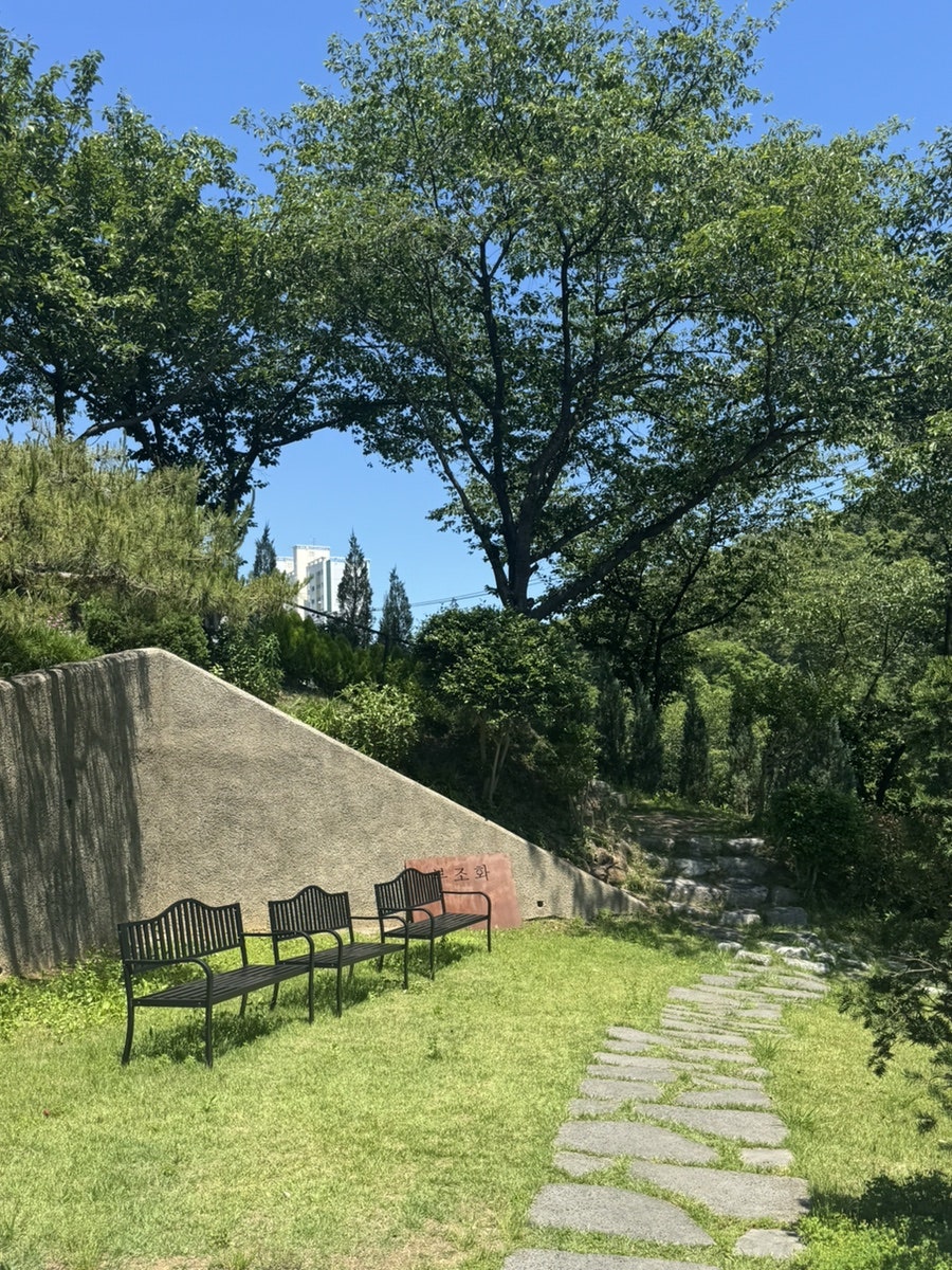 부조화숲 2호점 사진 6