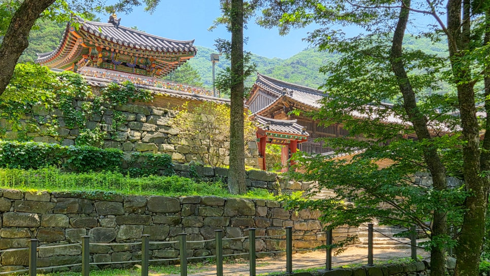 소나무집 사진 1
