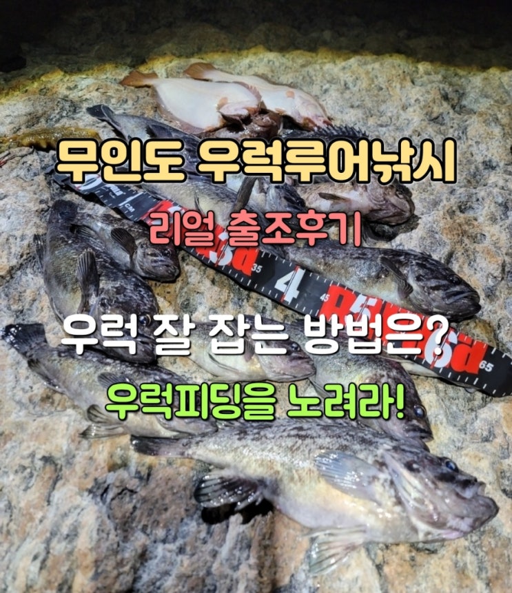  우럭 루어낚시 제대로 즐기고 왔습니다 무인도 출조 리얼후기