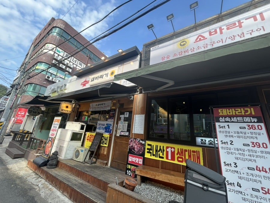 돼바라기 사진 3