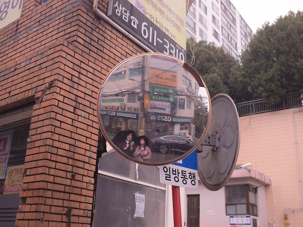 말루비아 사진 1
