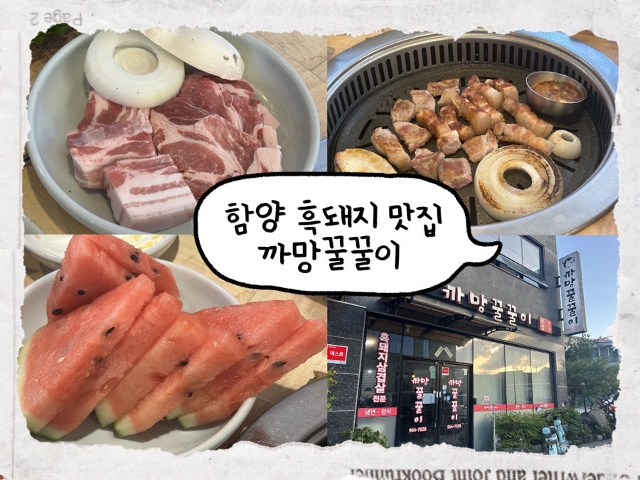 까망꿀꿀이 사진 1