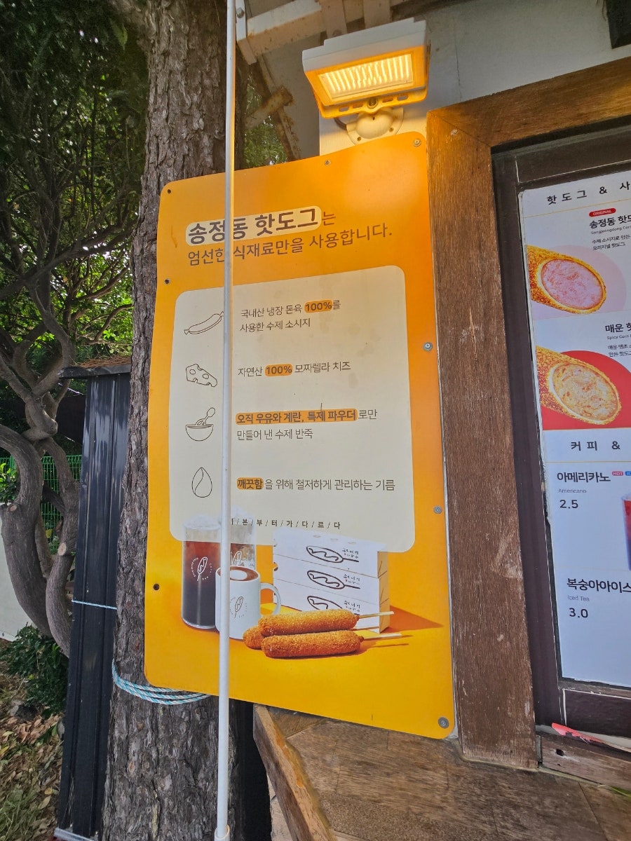 송정동핫도그 바다점 사진 2