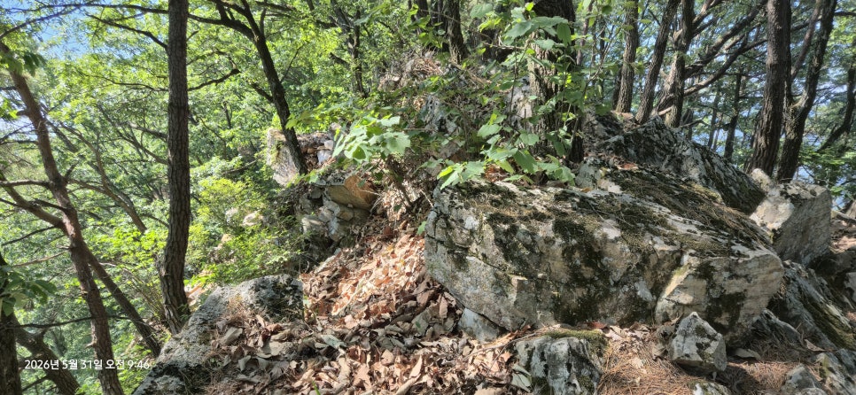 성재산 사진 4