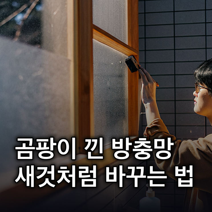  방충망 청소, 묵은 먼지 싹! 솔 & 세제 활용법