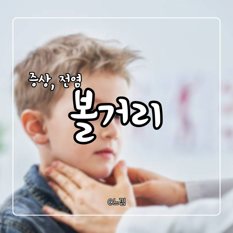 볼거리 증상 전염 원인 치료