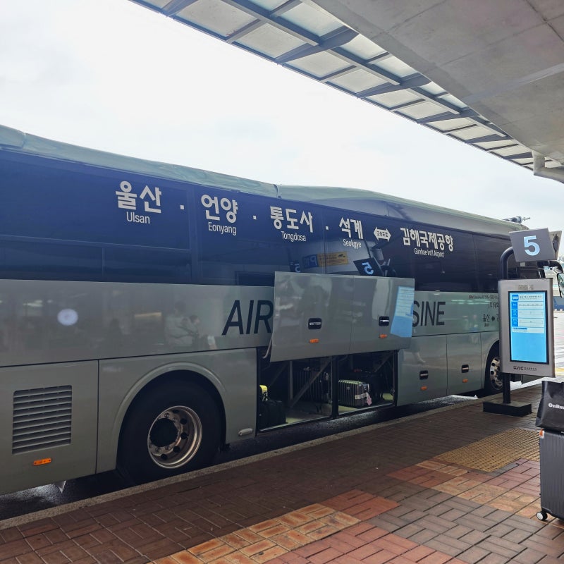 울산 김해공항 리무진 공항버스 왕복 후기 시간표 요금
