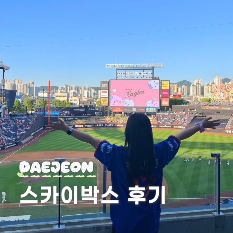 대전한화생명볼파크 스카이박스대전야구장 한화이글스 직관 후기