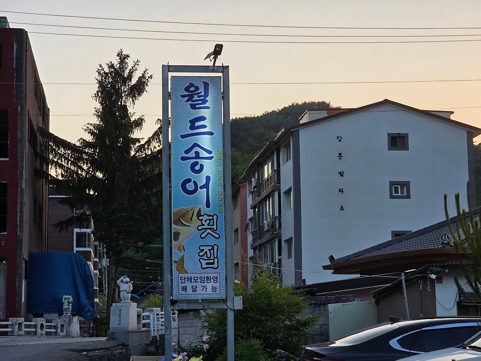 월드송어횟집 사진 1