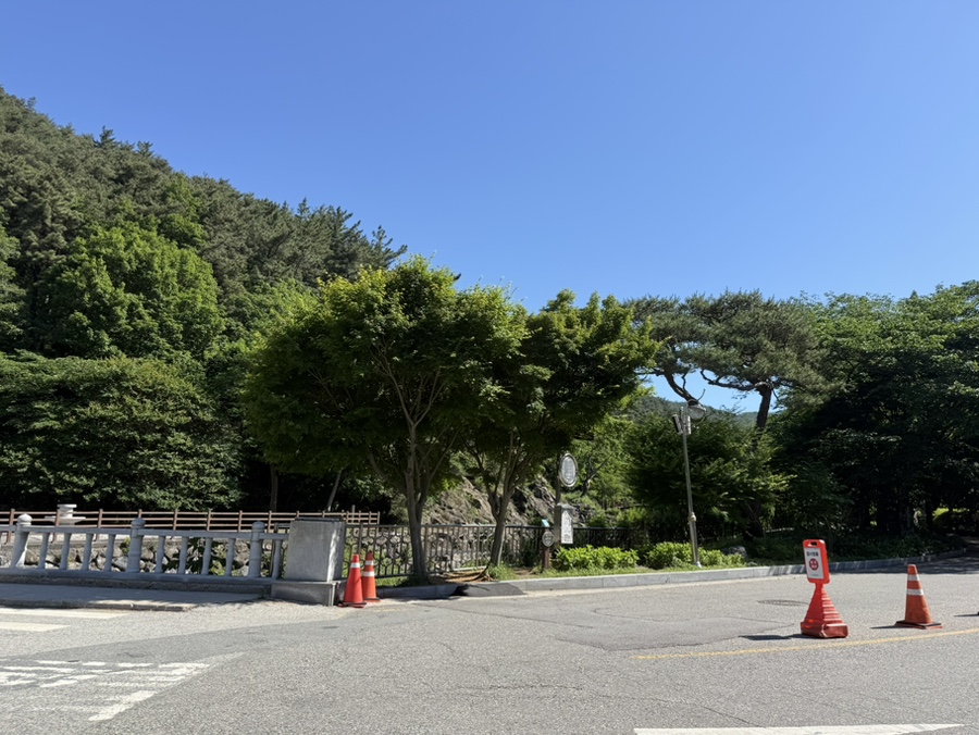 조가네갑오징어 금산사점 사진 2
