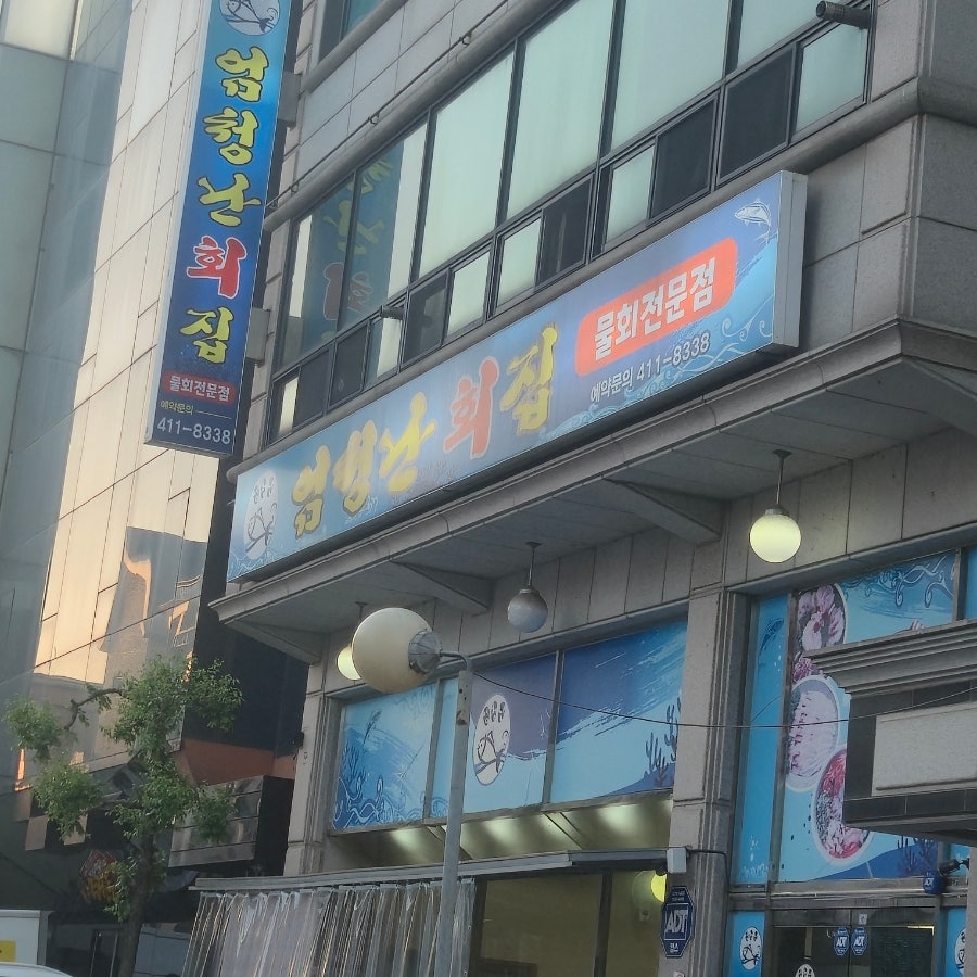 엄청난회집 사진 1