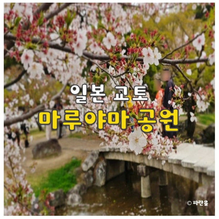  교토 여행 코스 추천 마루야마 공원 벚꽃 명소