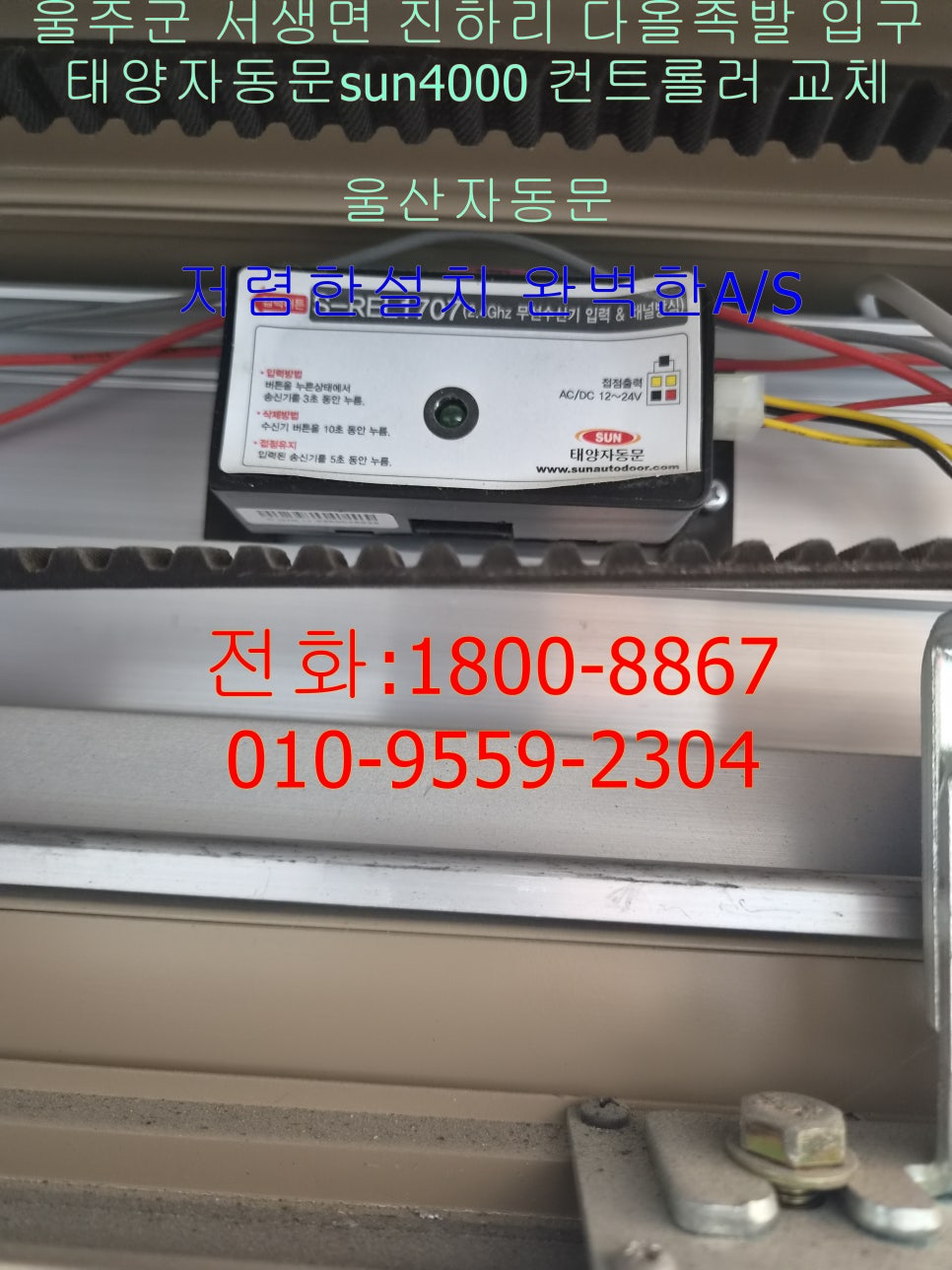 다올족발 사진 6
