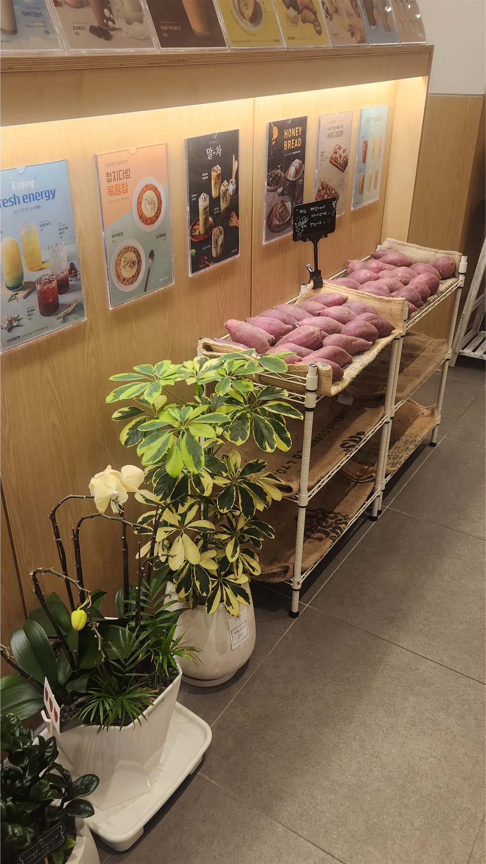 청자다방 광주여대점 사진 5