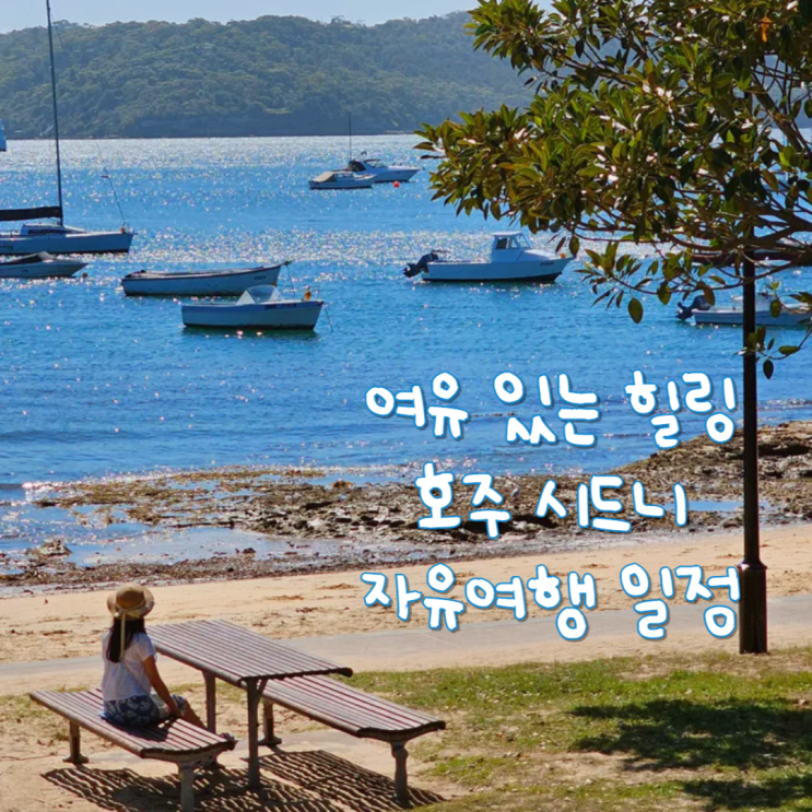  2월 해외여행지 추천 호주 시드니 여행 5일차 일정 야경 관광 명소