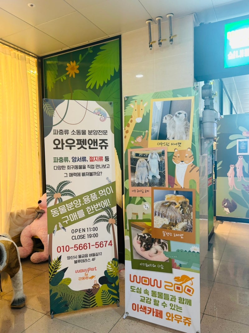 [양산] 양산 실내동물원 와우쥬 다양한 동물과 먹이주기 체험
