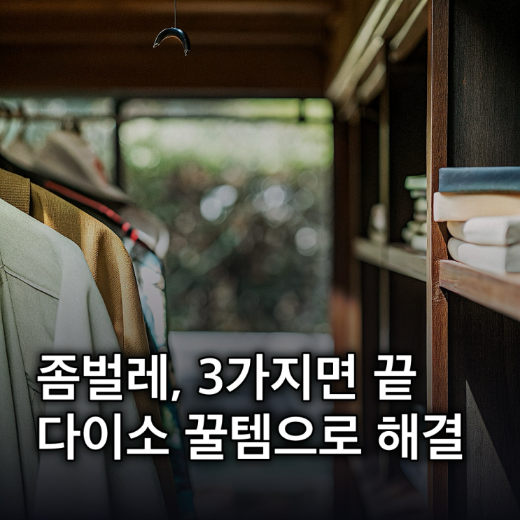  좀벌레 퇴치법: 습도 50% 이하 유지, 다이소 제품 활용법부터 근본 해결까지