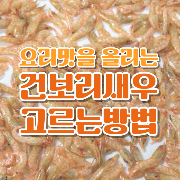 국내산 건보리새우 고르는법, 30년 경력이 알려드림!