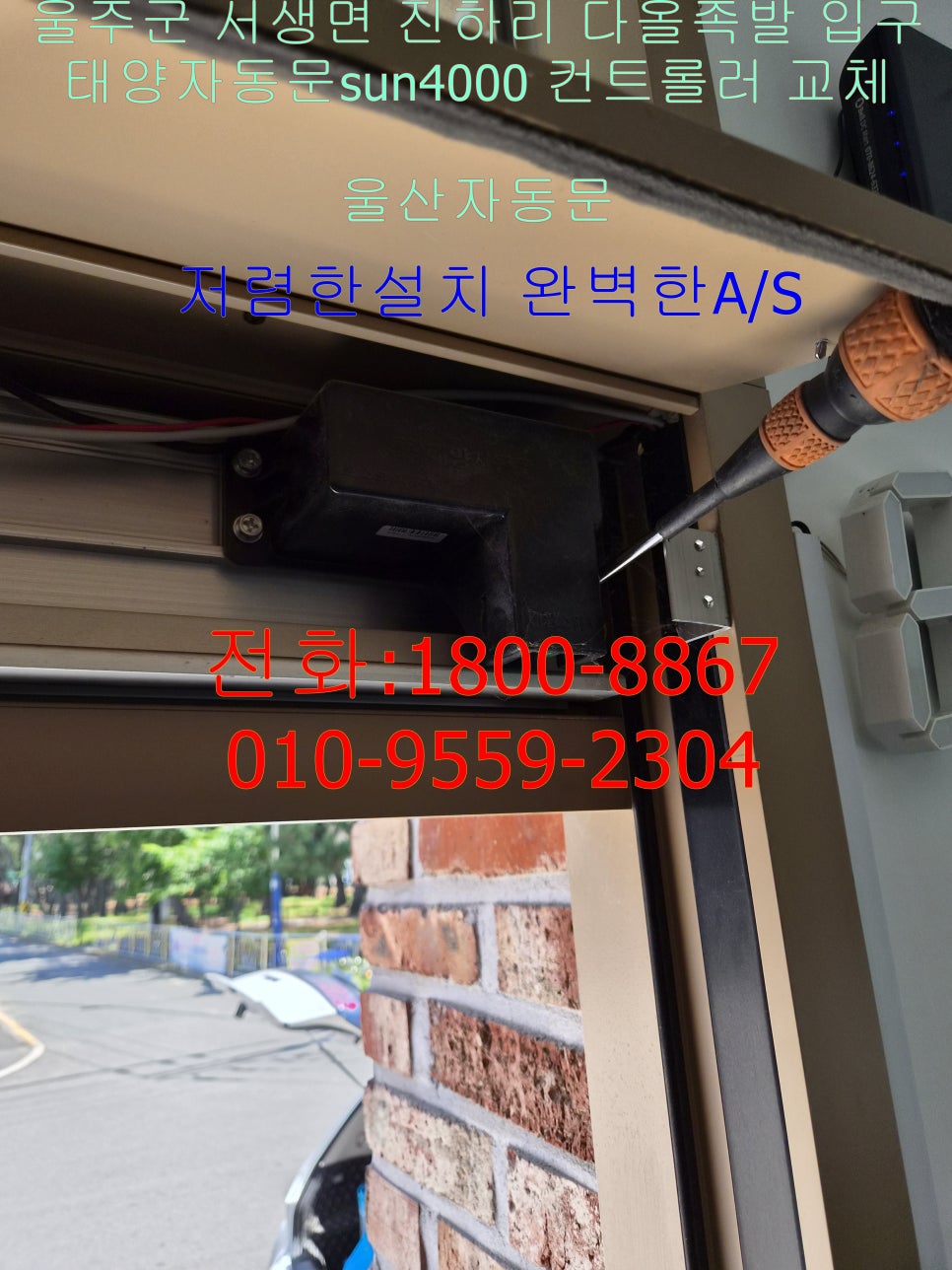 다올족발 사진 3