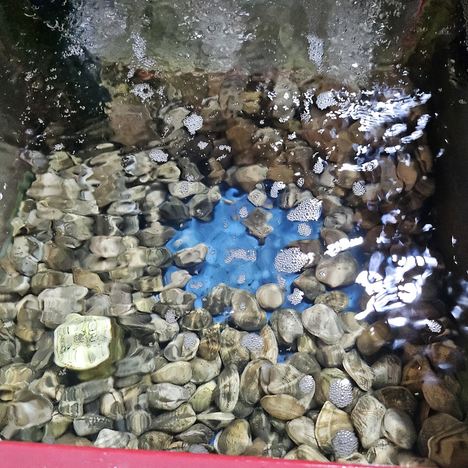 충장포차 사진 4