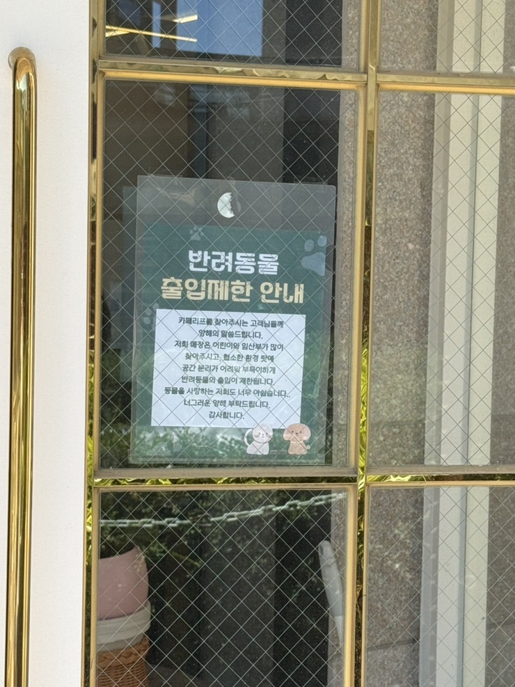카페리프 사진 4