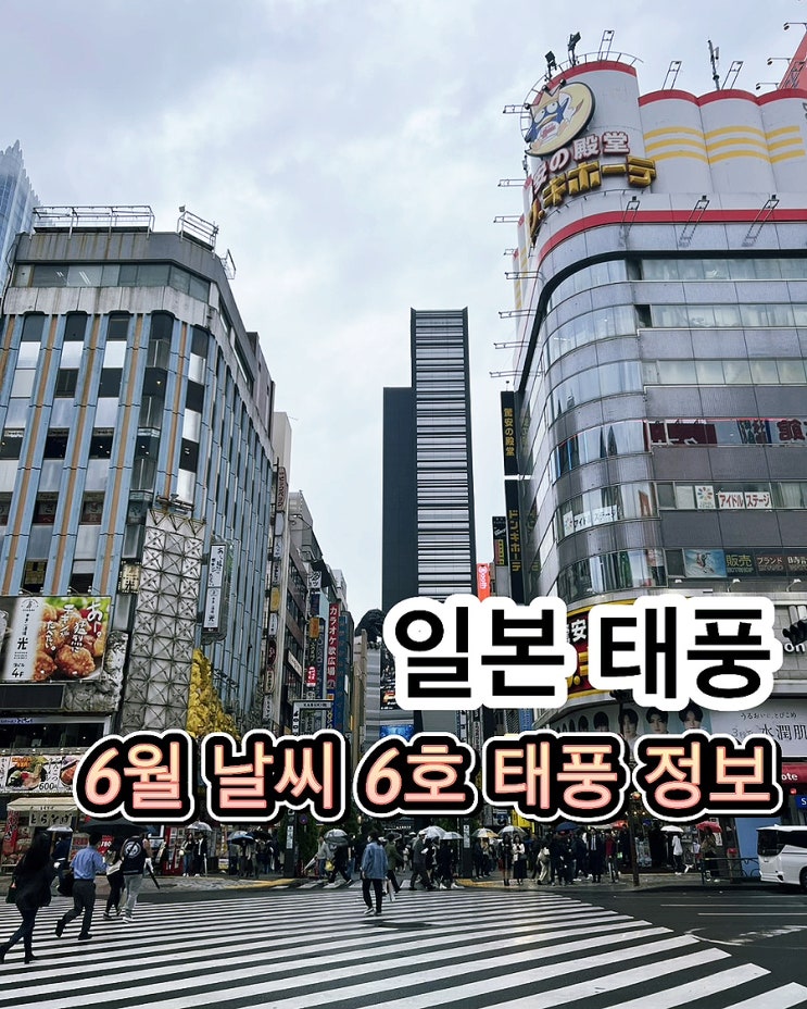 6월 일본 날씨 비상 6호 <b>태풍 장미</b> 도쿄 오사카 후쿠오카 타격... 