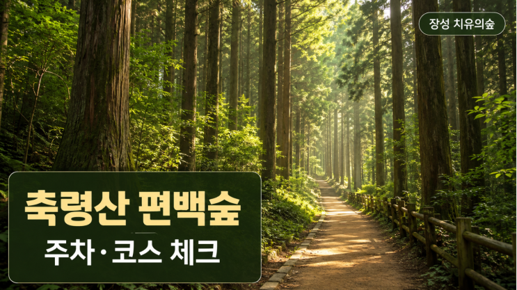  장성 축령산 편백숲 코스, 치유의숲 주차까지 정리