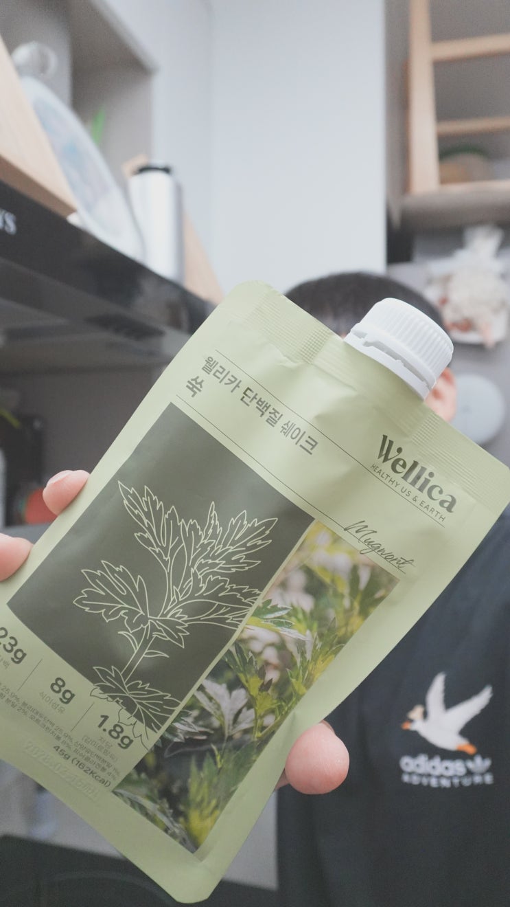  와디즈 펀딩 웰리카 뷰티프로틴 쑥맛, 식사대용 프로틴쉐이크로 챙기는 가벼운 루틴