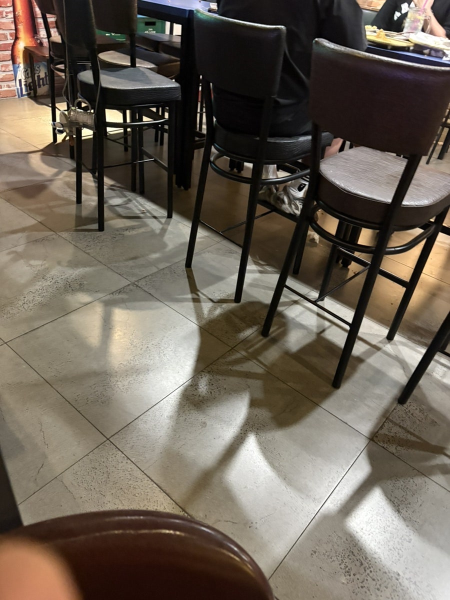 맥주태풍 사진 6