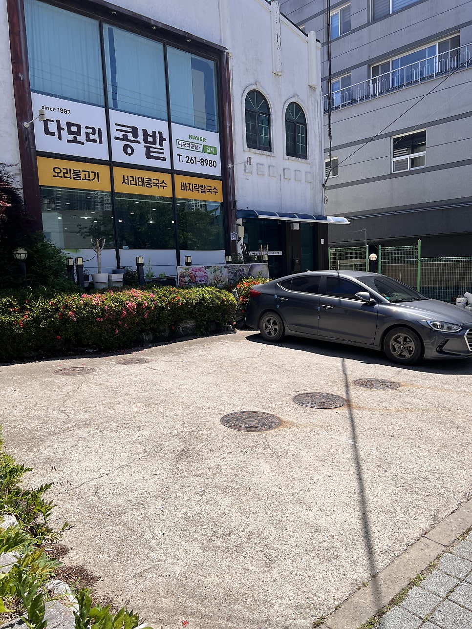 다모리콩밭 사진 2