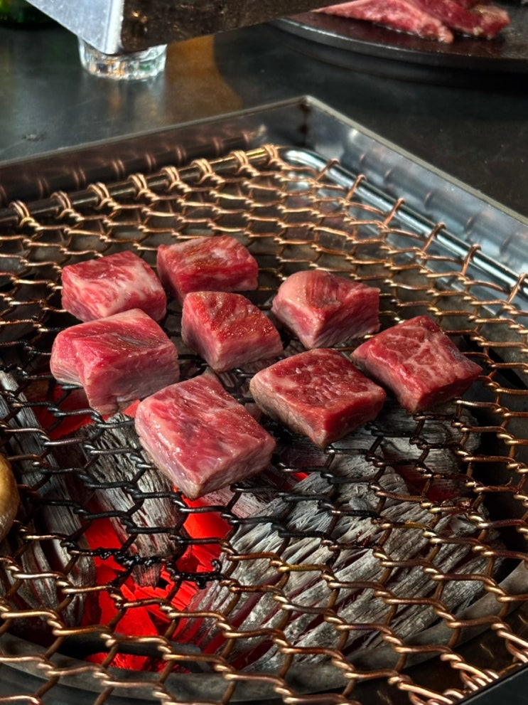  석촌역 맛집 고기집 숯불성화 • 깍뚝꽃갈비살과 짜파구리가 맛있는 송리단길 소고기집