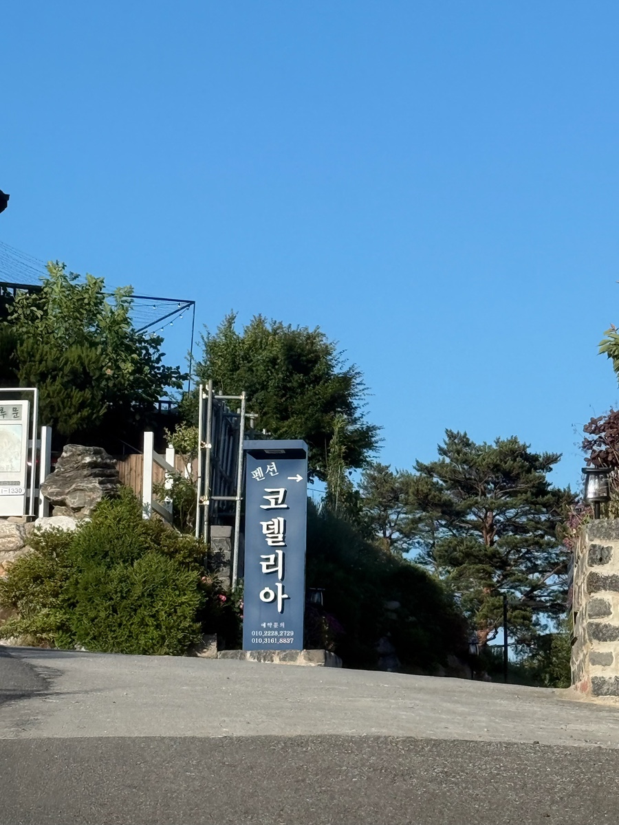 코델리아 사진 3