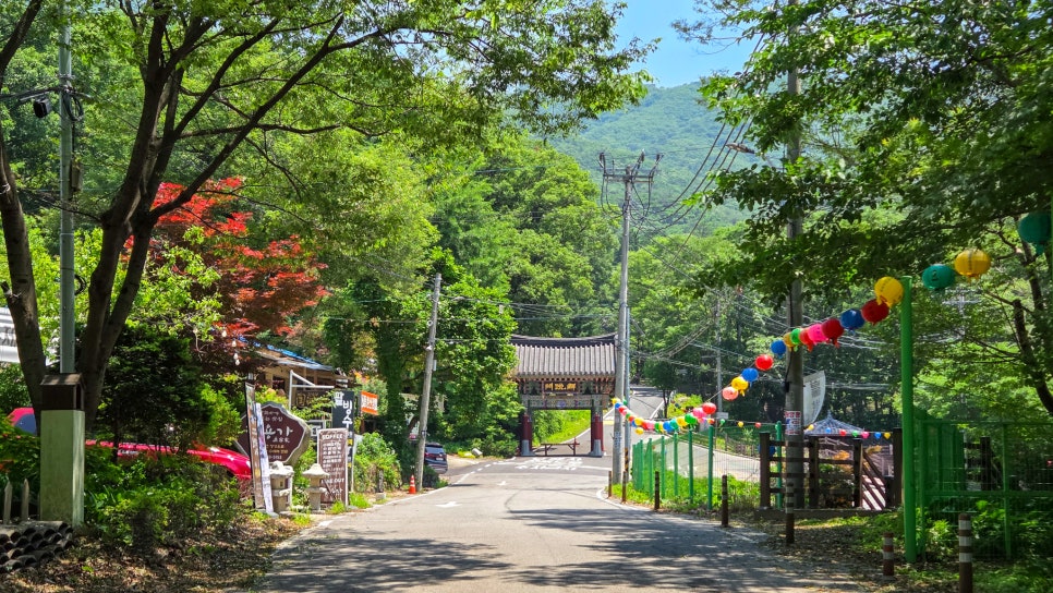 소나무집 사진 3