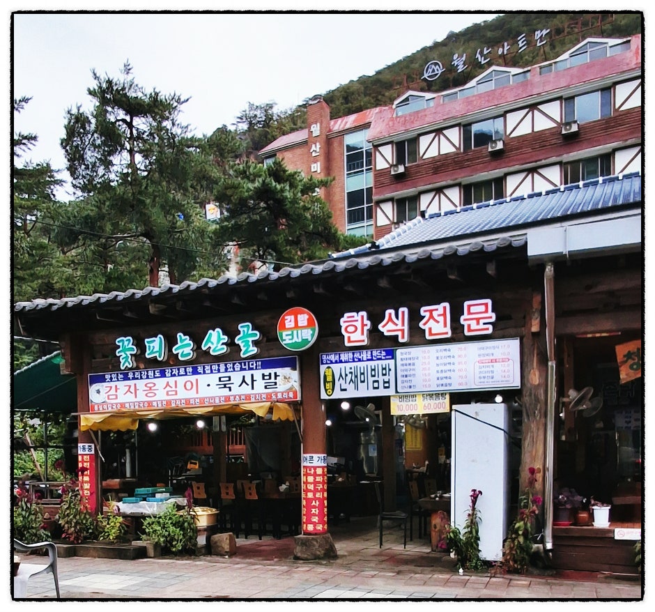 꽃피는산골 사진 2