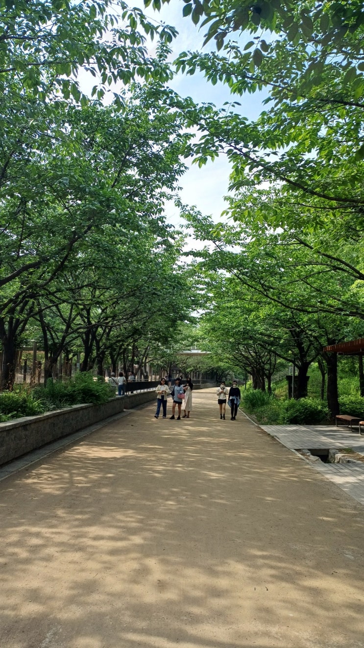  서울숲 산책, 성수동에서 초록 그늘 따라 가볍게 걷기 좋은 도심 숲길