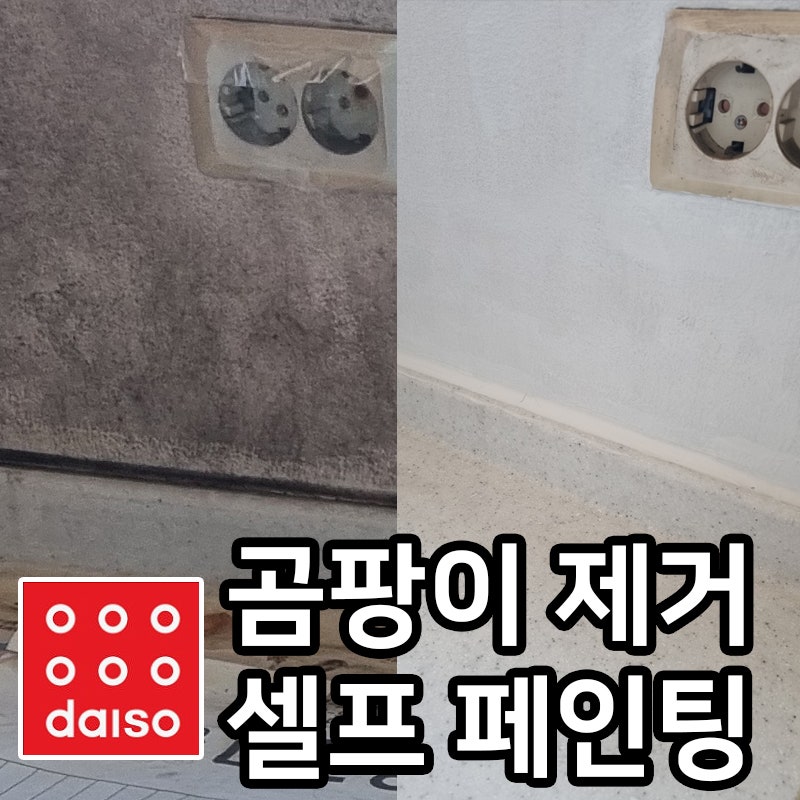 [다이소추천템] 베란다 곰팡이 제거 & 셀프 페인트