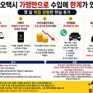카카오택시 가맹과 비가맹 비교, 직접 해본 솔직한 경험