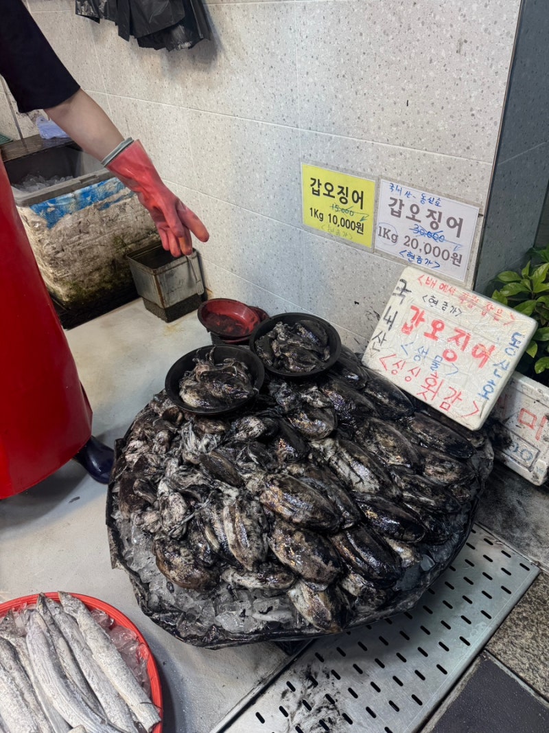 대명항 수산시장 시세 정리! 갑오징어 1만원? 요즘 장보기 완전 괜찮아요!