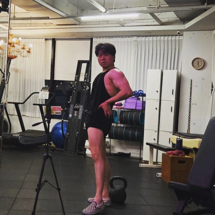 벌크업 도전기! 가슴 3분할 운동루틴·식단관리·체형분석으로 만드는 탄탄한 몸 만들기