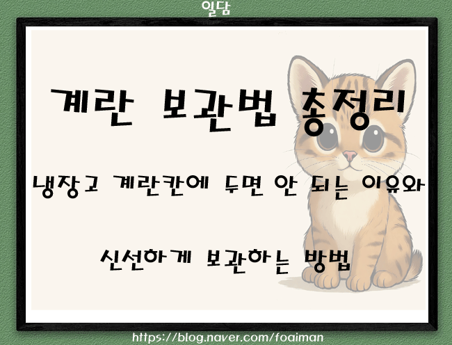  계란 보관법 ｜냉장고 계란칸에 두면 안 되는 이유와 신선하게 보관하는 방법