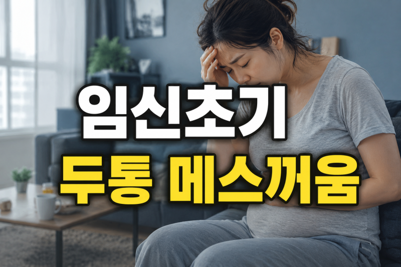 임신초기 두통 메스꺼움 임신중 원인과 타이레놀 먹기 전 주의 할 것