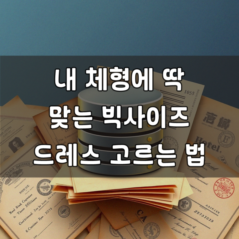 빅사이즈 드레스, 명확히 이해하기