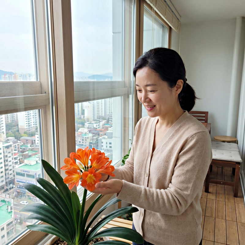 "따뜻한 거실 VS 서늘한 베란다" 군자란 키우기 겨울철에는 이 방법으로 오렌지빛 꽃 피워요