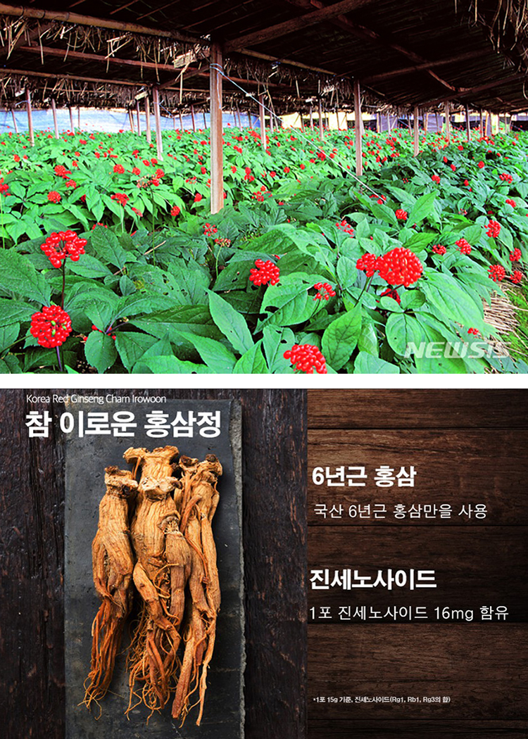 명작호텔 사진 6