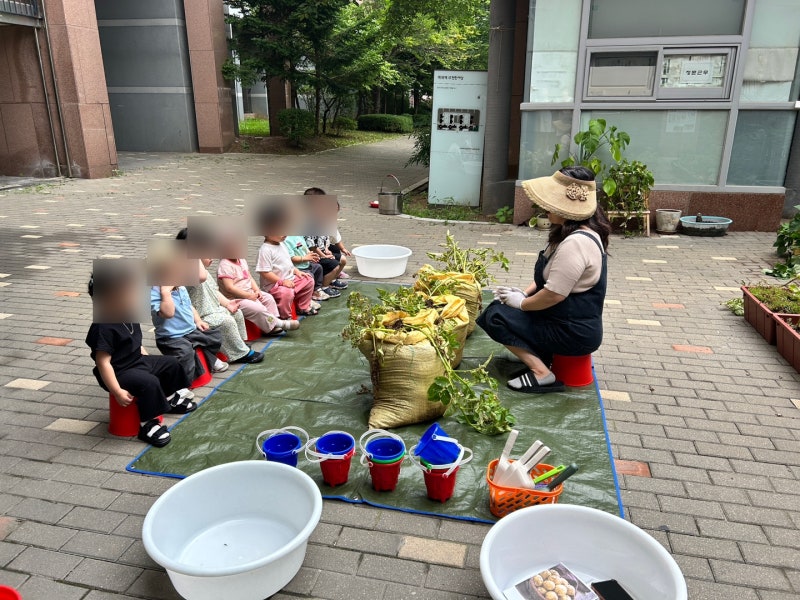 역곡e편한자연어린이집 감자캐기 체험으로 배우는 자연관찰 활동